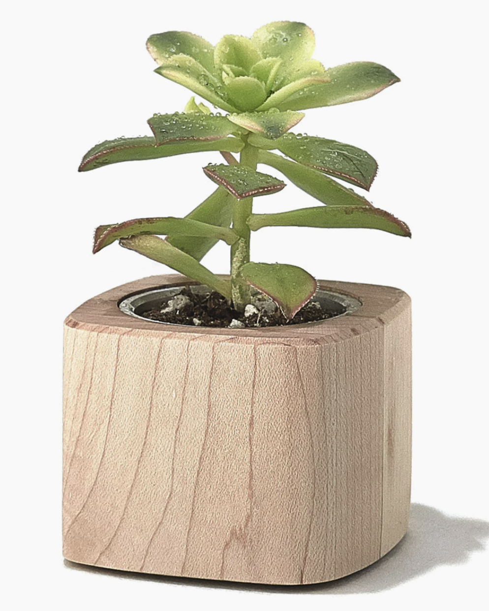Mini Planter